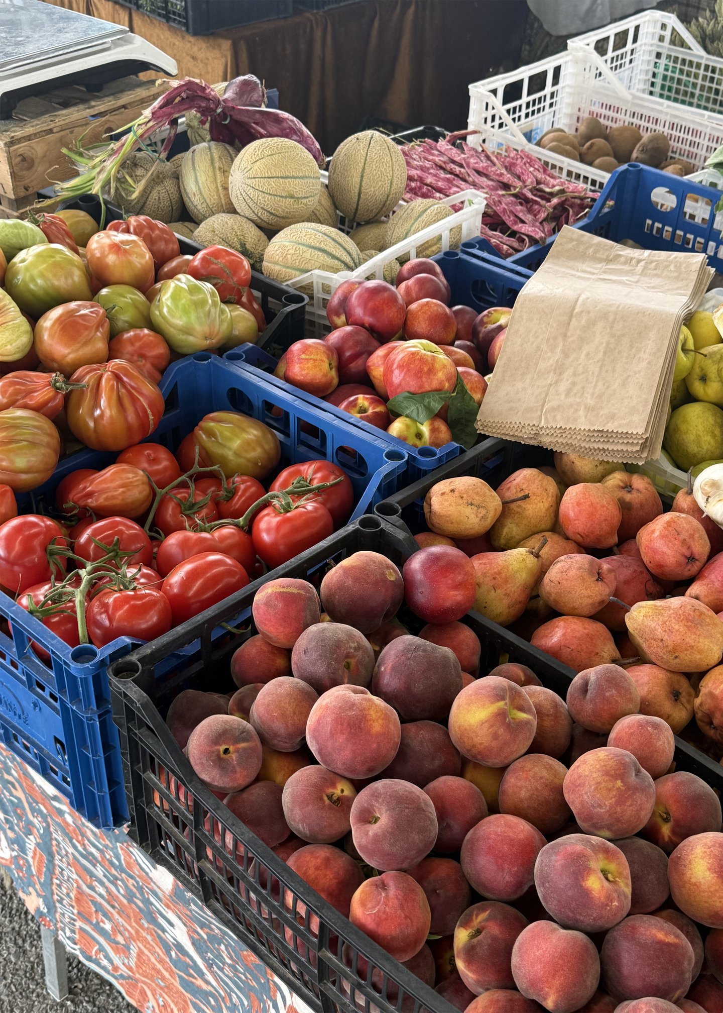 A Love Letter (and Guide) to Florence_Fruit Market.jpg